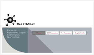 HealthStat – Elective Hip Replacement Surgical Insights (New York State)