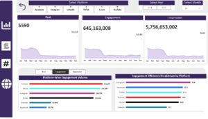 Social Media Analysis June 2025 Challenge