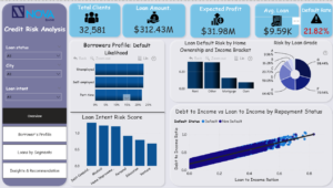 Credit Risk Analysis: Nova Bank