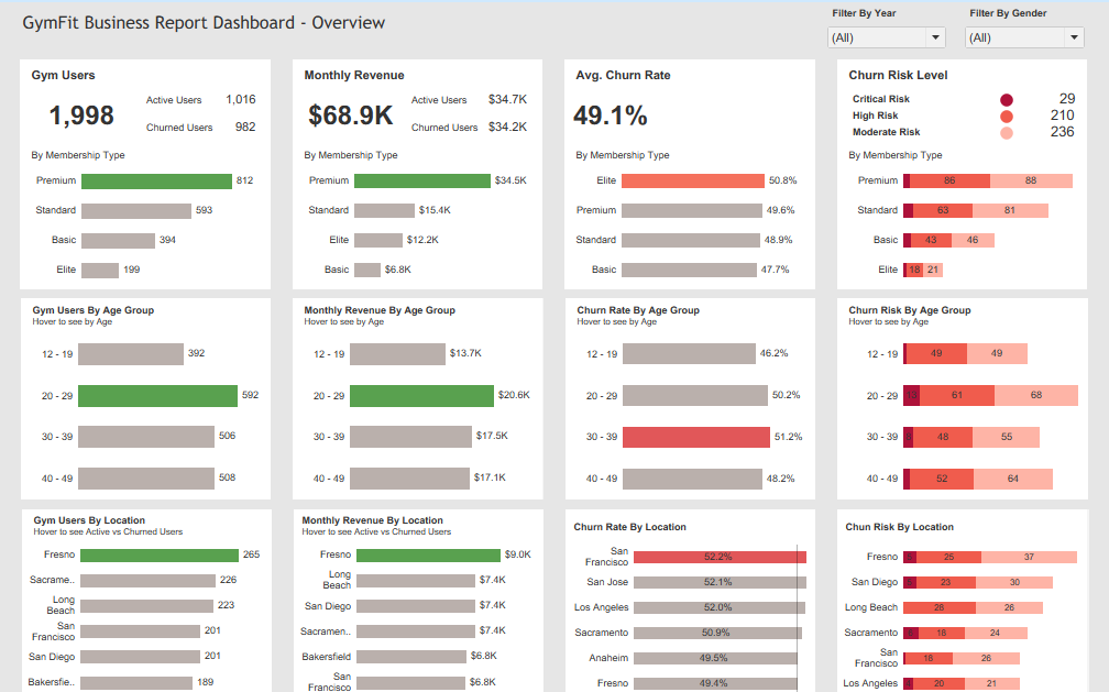 GymFit Business Dashboard