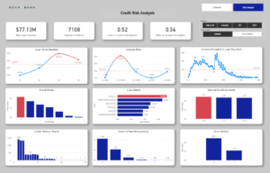 Nova Bank Credit Risk Analysis
