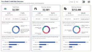 Nova Bank Credit Risk Analysis