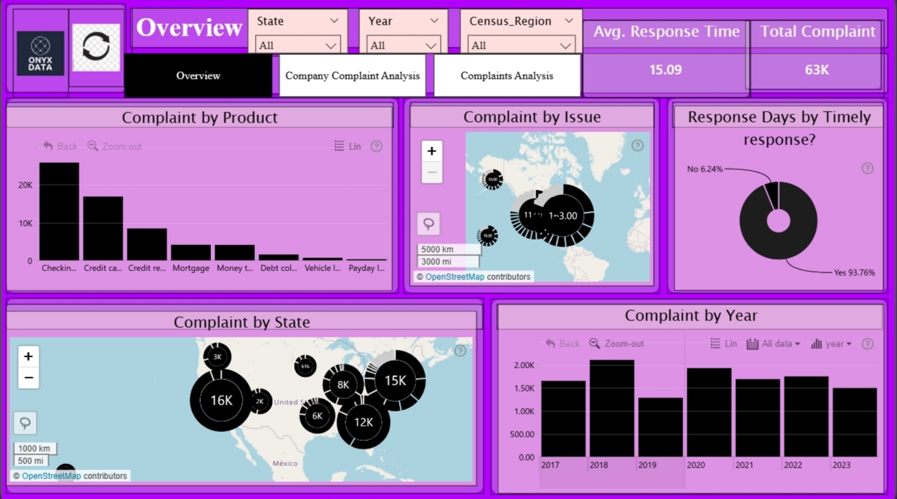 Company Complaint Analysis