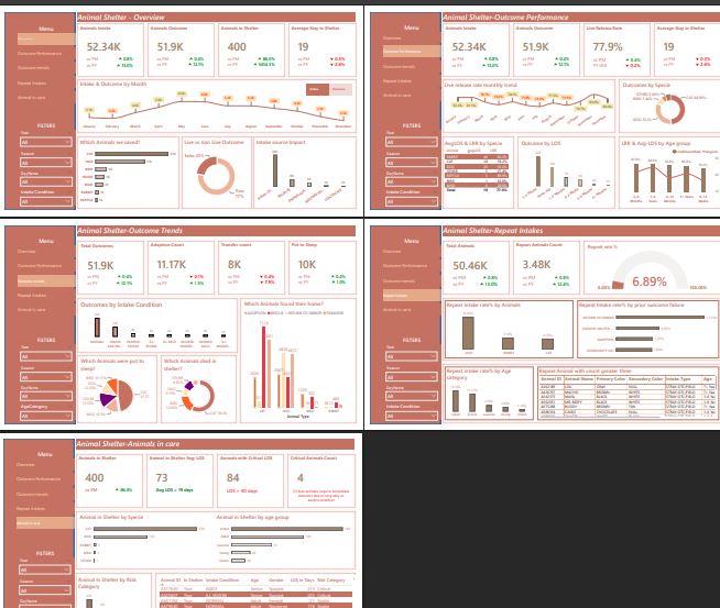 Animal Shelter Analysis
