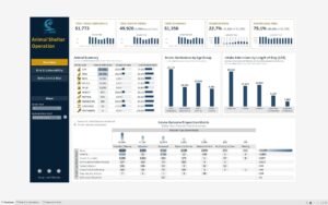 Beyond the Shelter Walls: A Deep Dive into Animal Shelter Operations