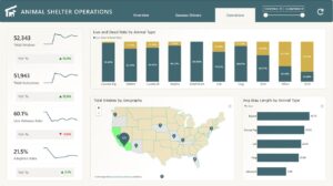 Animal Shelter Operations Dashboard