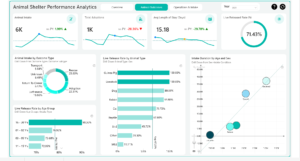 Animal shelter Performance Analytics