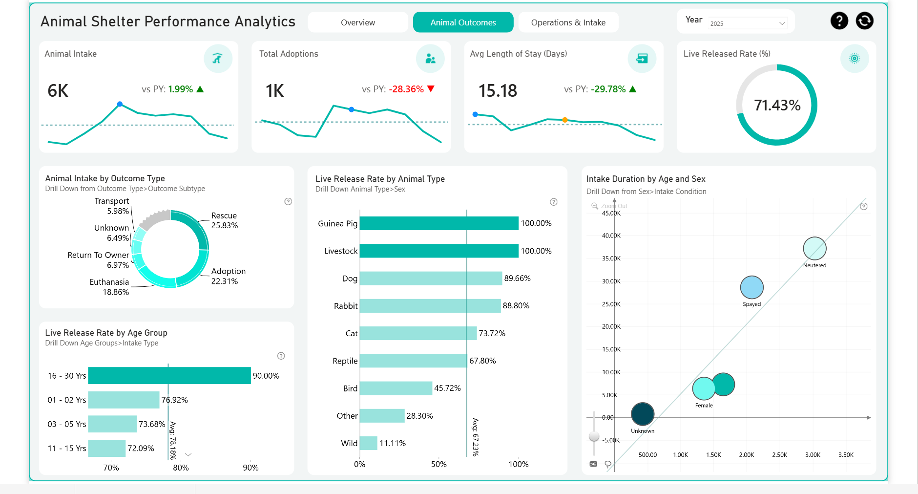 Animal shelter Performance Analytics