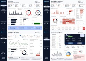 Zephyr Bank: Transaction Health Intelligence Dashboard