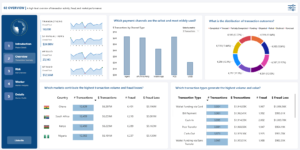 Onyx_Africa_Report