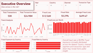 Digital Wallet Fraud & Risk Analysis